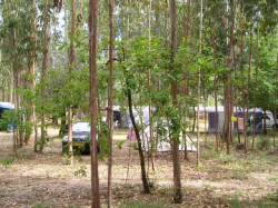 Quinta do porto terrein camping